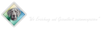 Gesunde Hundezeit
